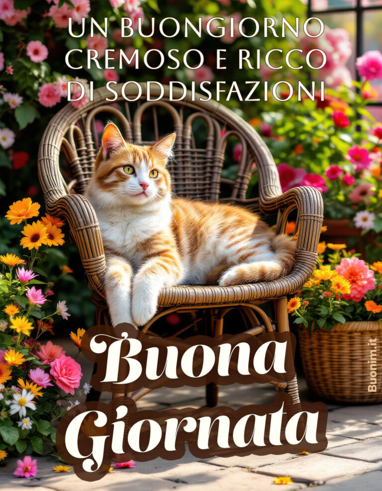 Immagini di Buongiorno Nuove e Speciali, Originali e Divertenti per ...