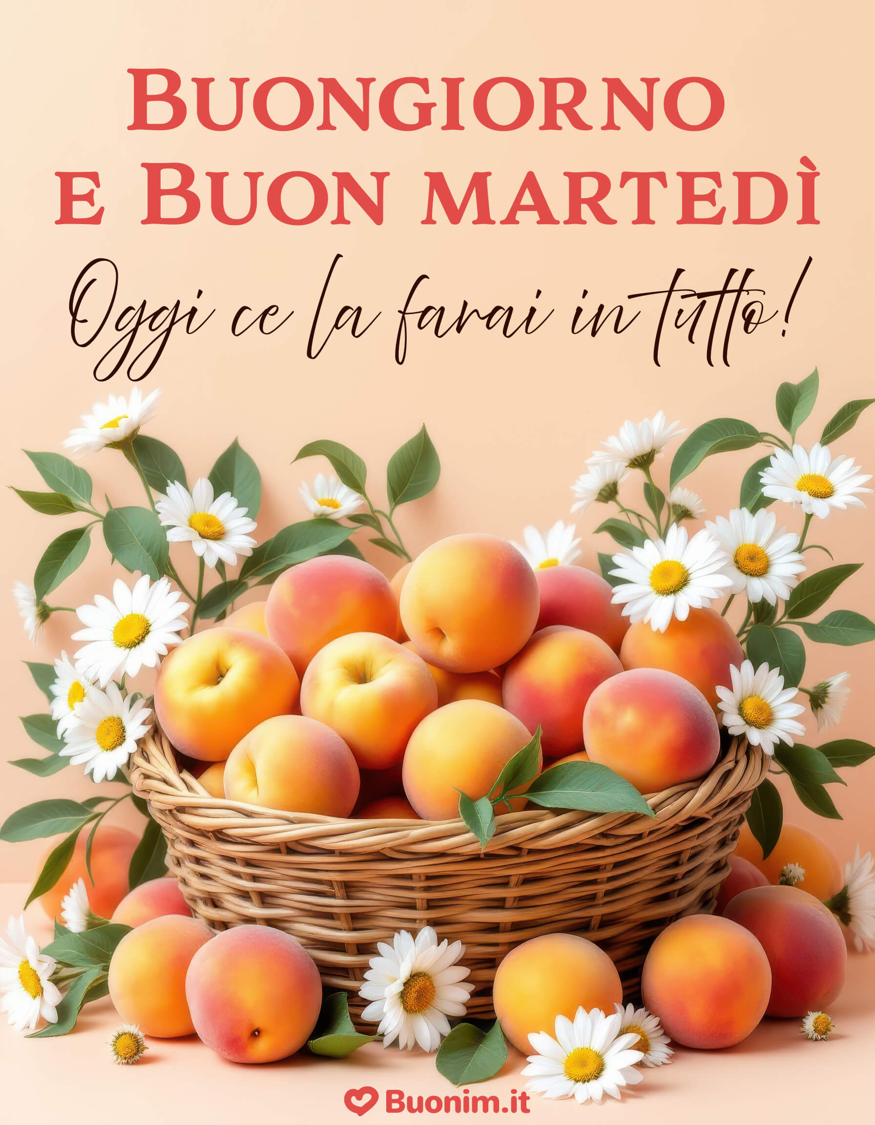 Cestino di pesche e margherite per dire buon martedì Colori vivi e profumo d’estate per augurare una giornata piena di fiducia e buonumore. Cartolina nuovissima di buongiorno martedì dolce e affettuosa, perfetta da condividere con chi porta gioia nella tua vita.