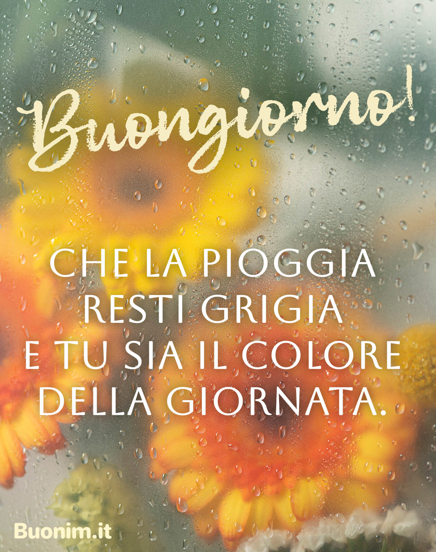 Lascia che fuori resti il cielo grigio e dentro metti colore e cuore. Ti auguro un Buongiorno pieno di energia e una giornata che profuma di serenità e bacini.
