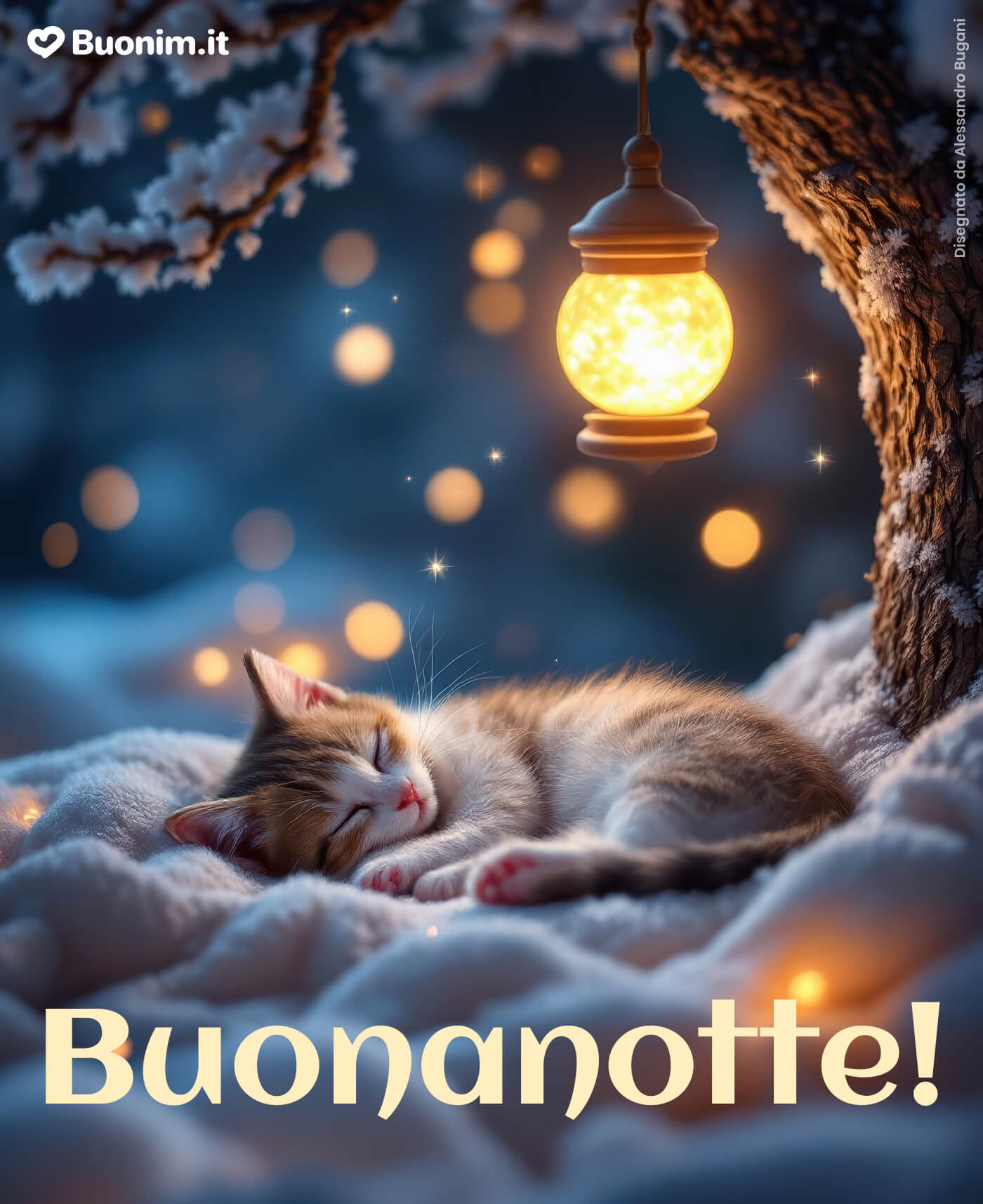 Buonanotte con i gatti simpatici per chi vuole sognare con leggerezza Condividi belle immagini di buonanotte con gatti nuove e fai felici i tuoi cari