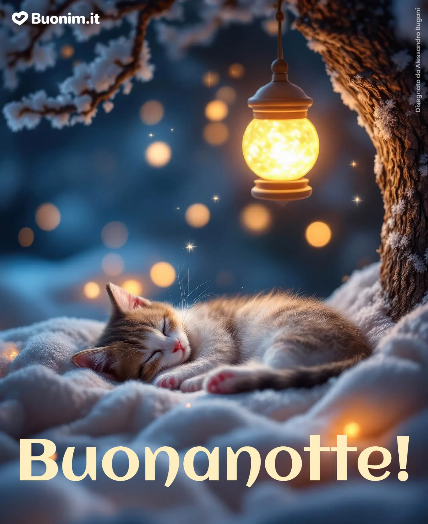 Condividi belle immagini di buonanotte con gatti nuove e fai felici i tuoi cari
