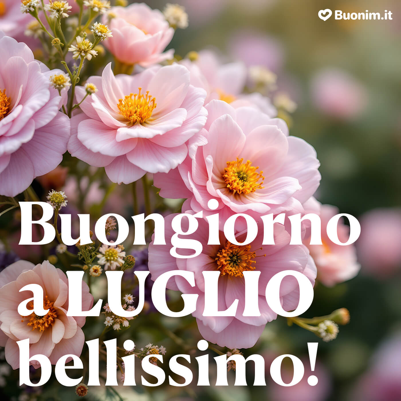 Condividi immagini di buongiorno 1 luglio per iniziare il mese con energia positiva, che sia un luglio straordinario per te Condividi immagini di buongiorno 1 luglio per iniziare il mese con energia positiva, che sia un luglio straordinario per te