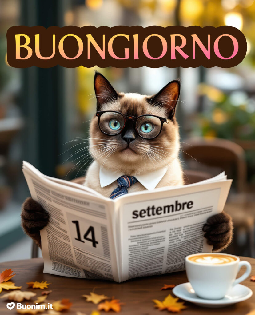 Felice giornata con coccole, bacini e un raggio di sole nel cuore