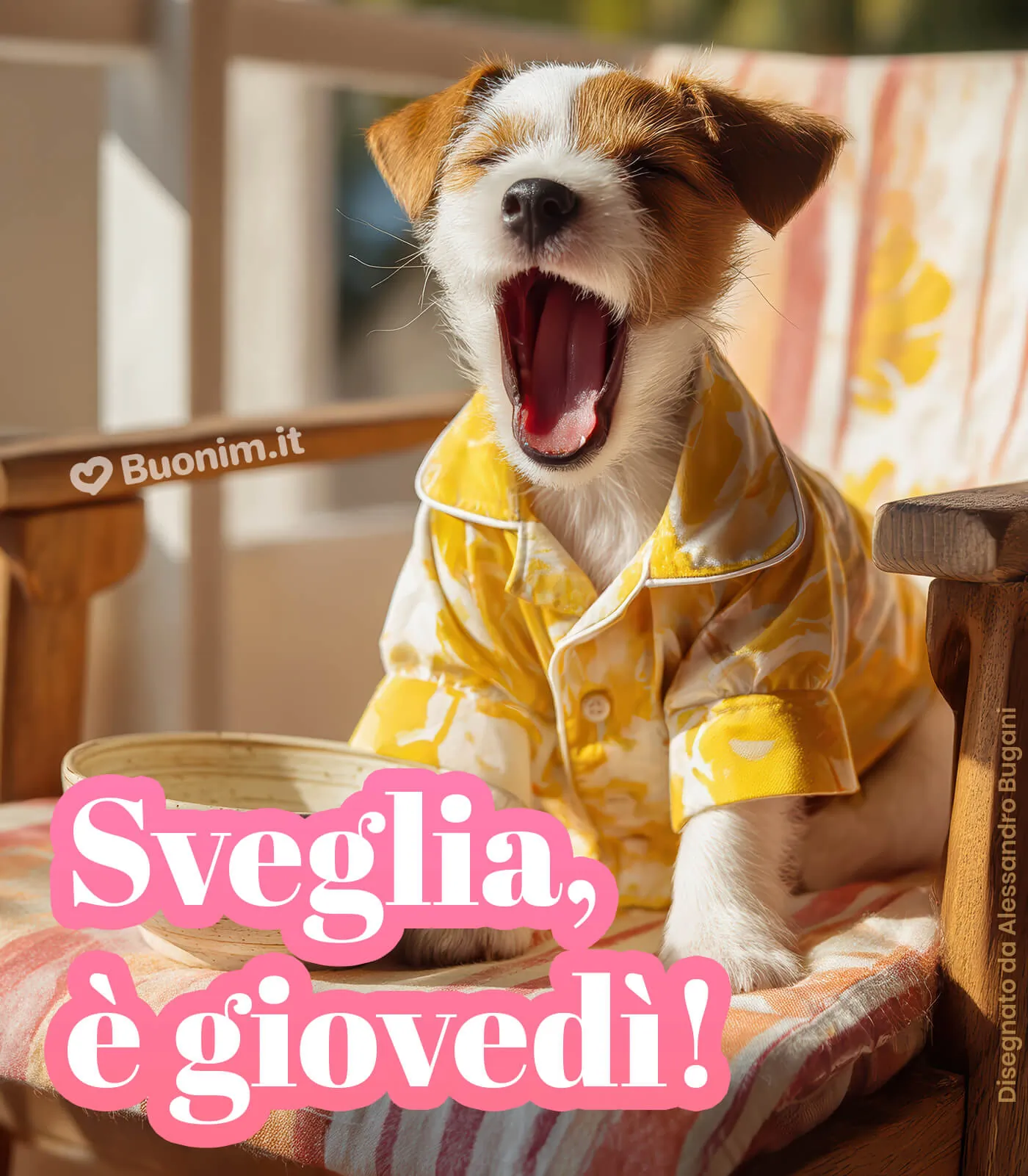 Felice giovedì!