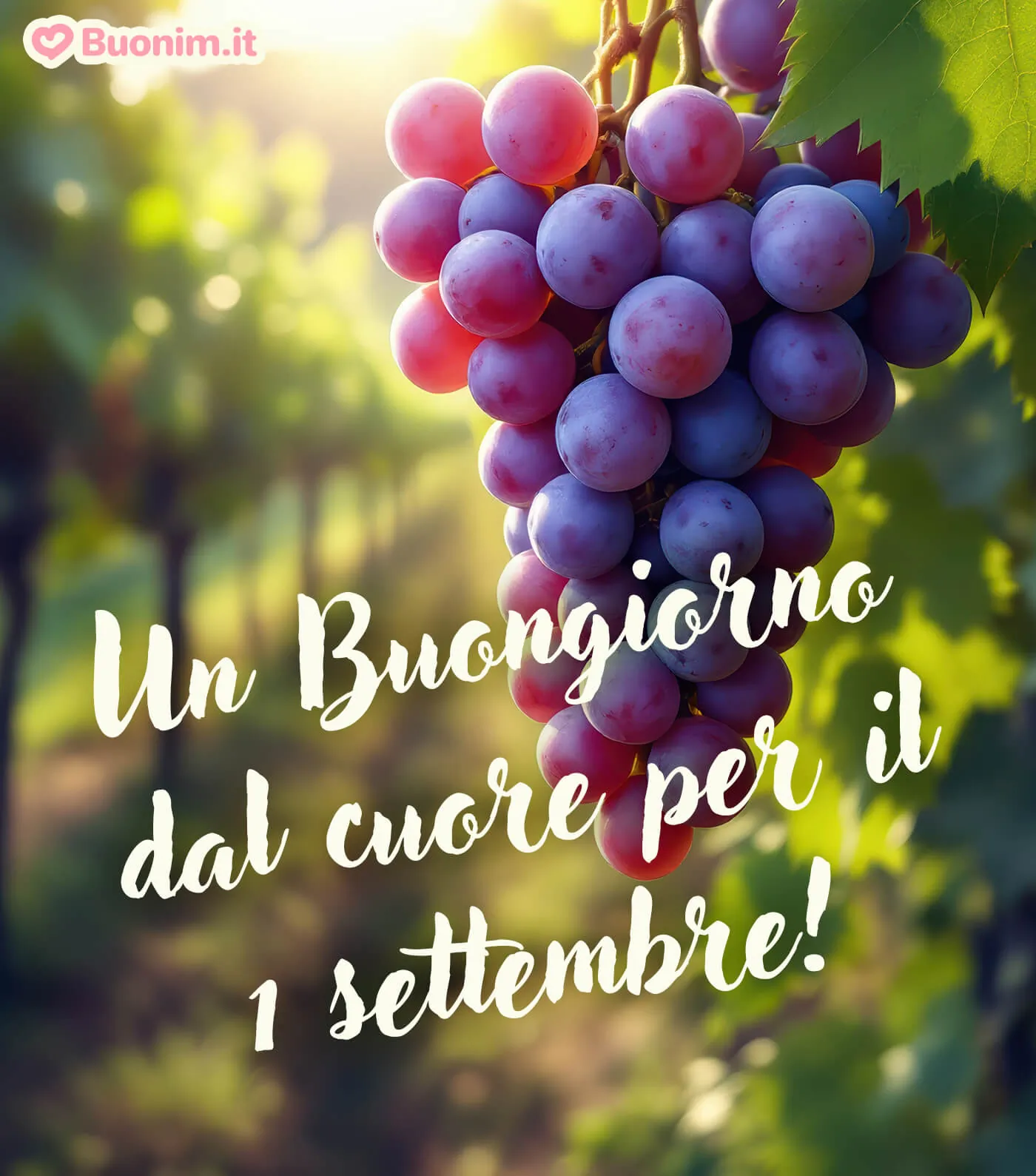 Felice primo giorno d’autunno con un messaggio dal cuore e un abbraccio che arriva fino all’anima