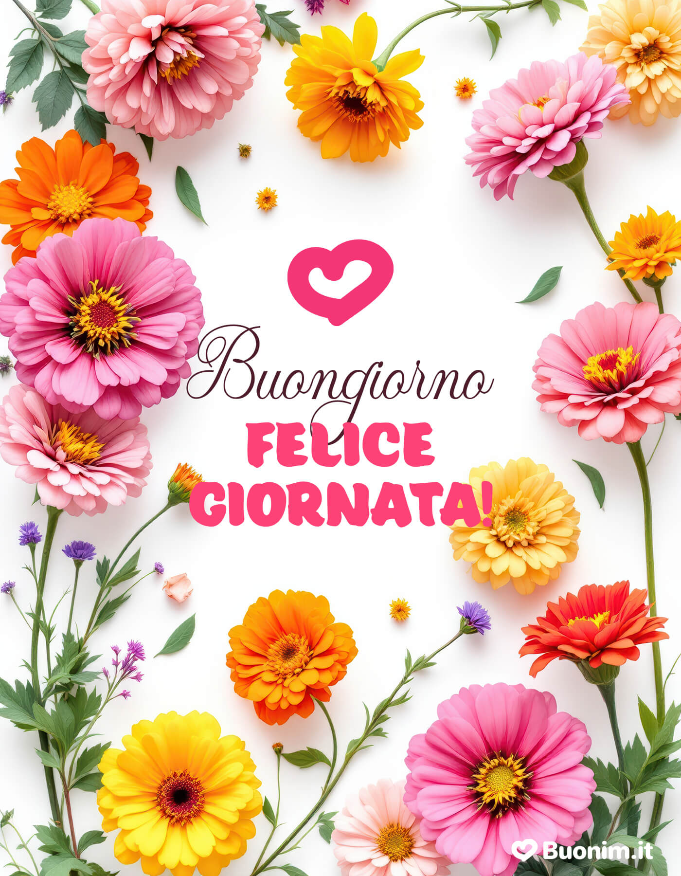 Fiori colorati per un buongiorno di felicità Colori e petali portano subito buonumore. Buongiorno con tanta dolcezza, per una giornata felice e piena di cose belle, perfetta da condividere con chi ti fa sorridere.