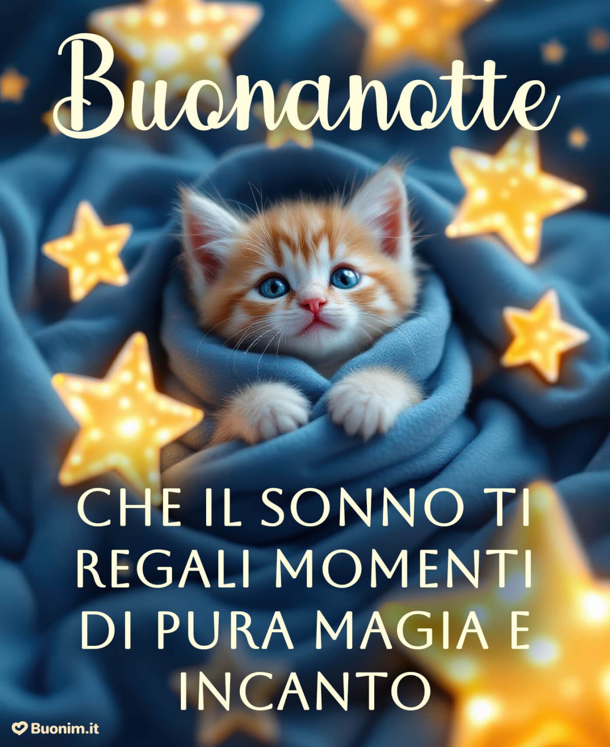 Immagini di Buonanotte con Gatti e Gattini Divertenti e Dolcissimi per ...