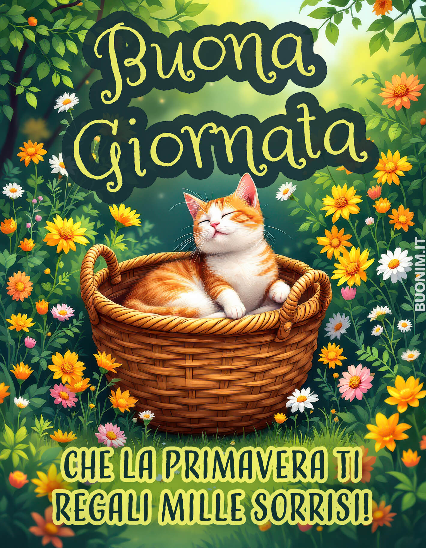 Dal suo cestino tra le margherite, il gattino ti dà il buongiorno con dolcezza. Che questo 2 marzo profumi di primavera e porti mille sorrisi!