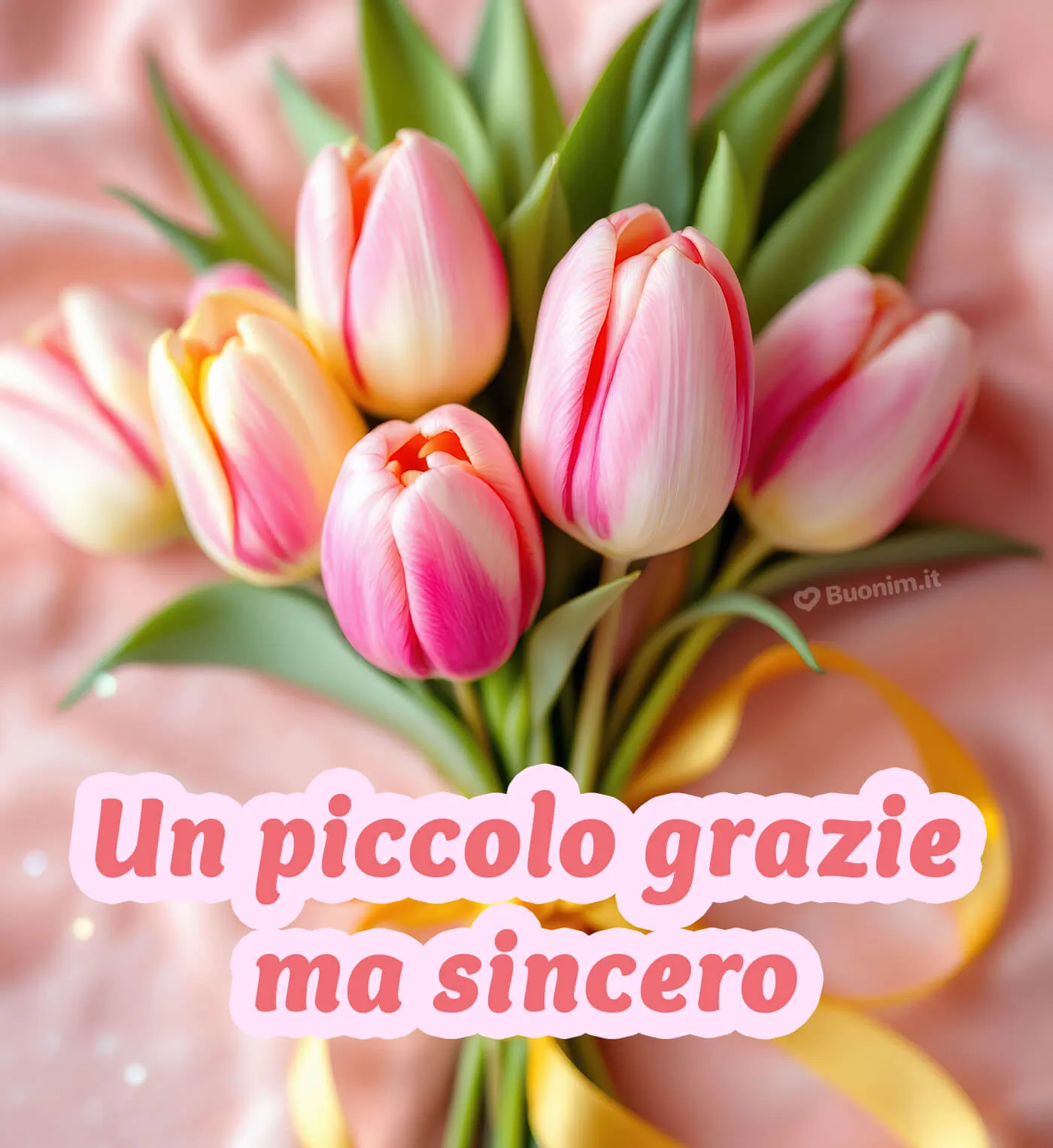 Immagine per dire grazie con semplicità e sentimento vero Immagine di ringraziamento semplice ma sentita, perfetta per ogni occasione