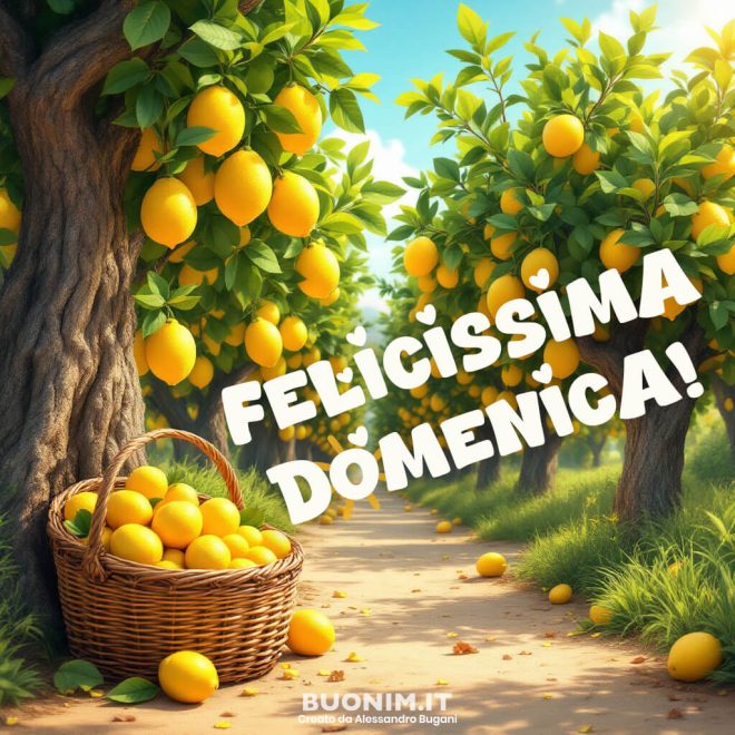 Immagini Di Buona Domenica Nuove E Bellissime Da Scaricare Gratis 