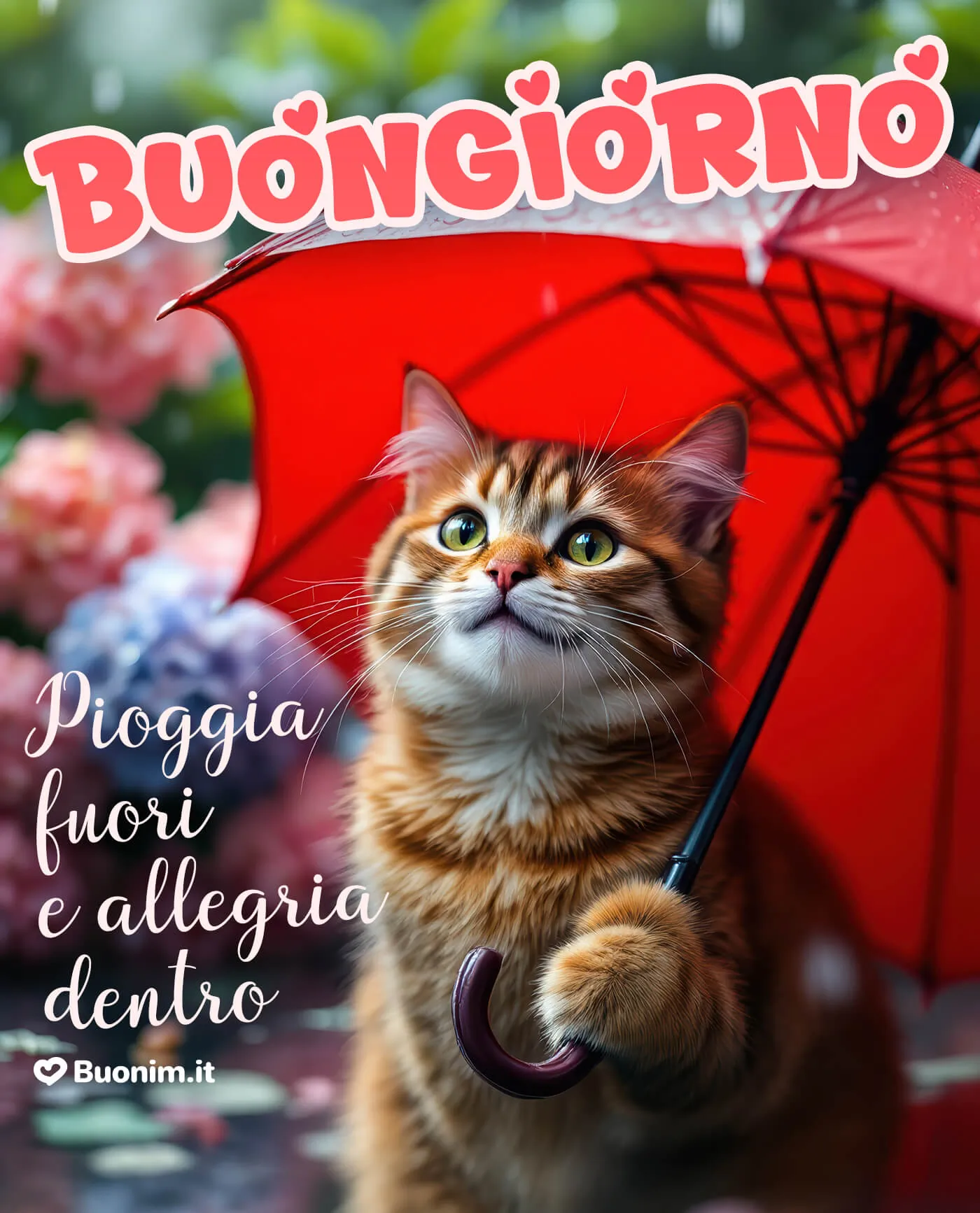 Immagini di buona giornata con la pioggia piene di affetto