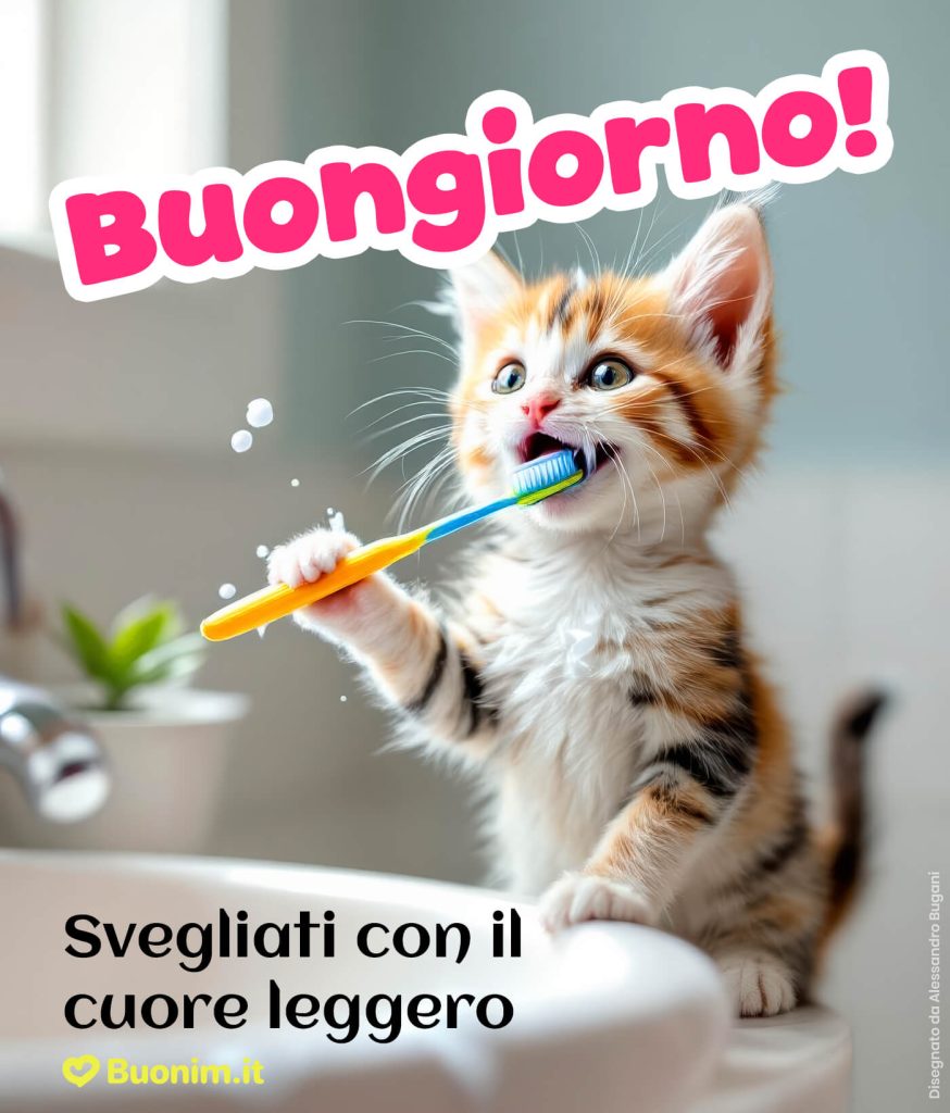 Immagini di buongiorno con gatti per iniziare la giornata con dolcezza