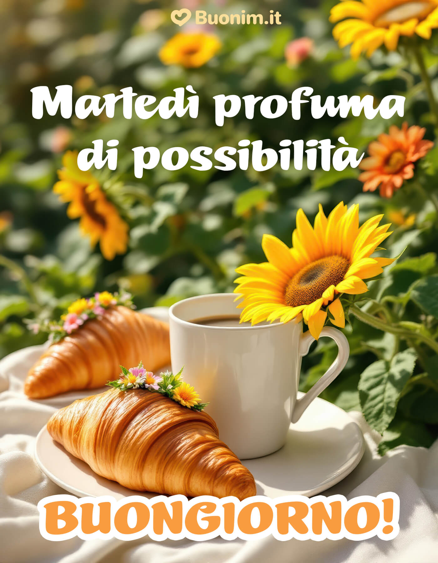Immagini di buongiorno per il martedì per iniziare con il sorriso Immagini nuove di buongiorno e buon martedì da condividere con chi ami