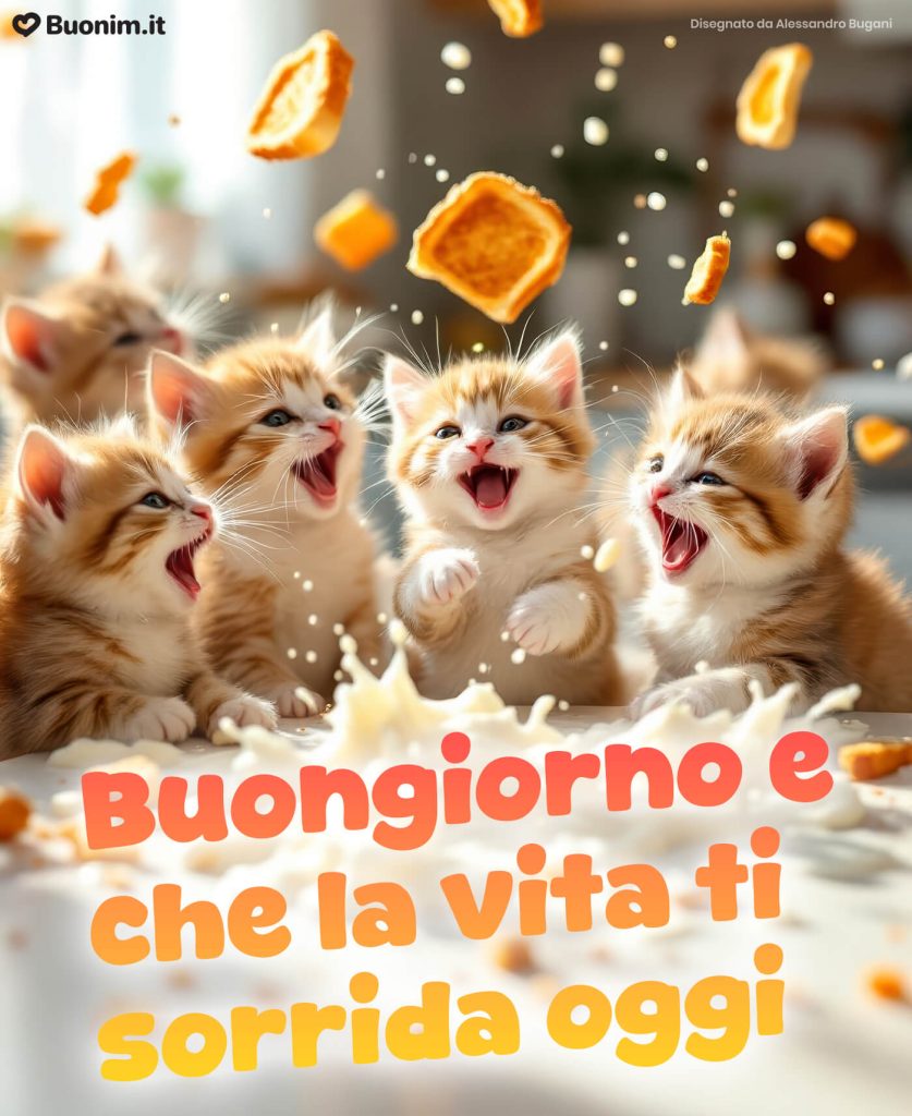 Immagini spiritose di buongiorno con gatti divertenti per sorridere e iniziare bene la giornata