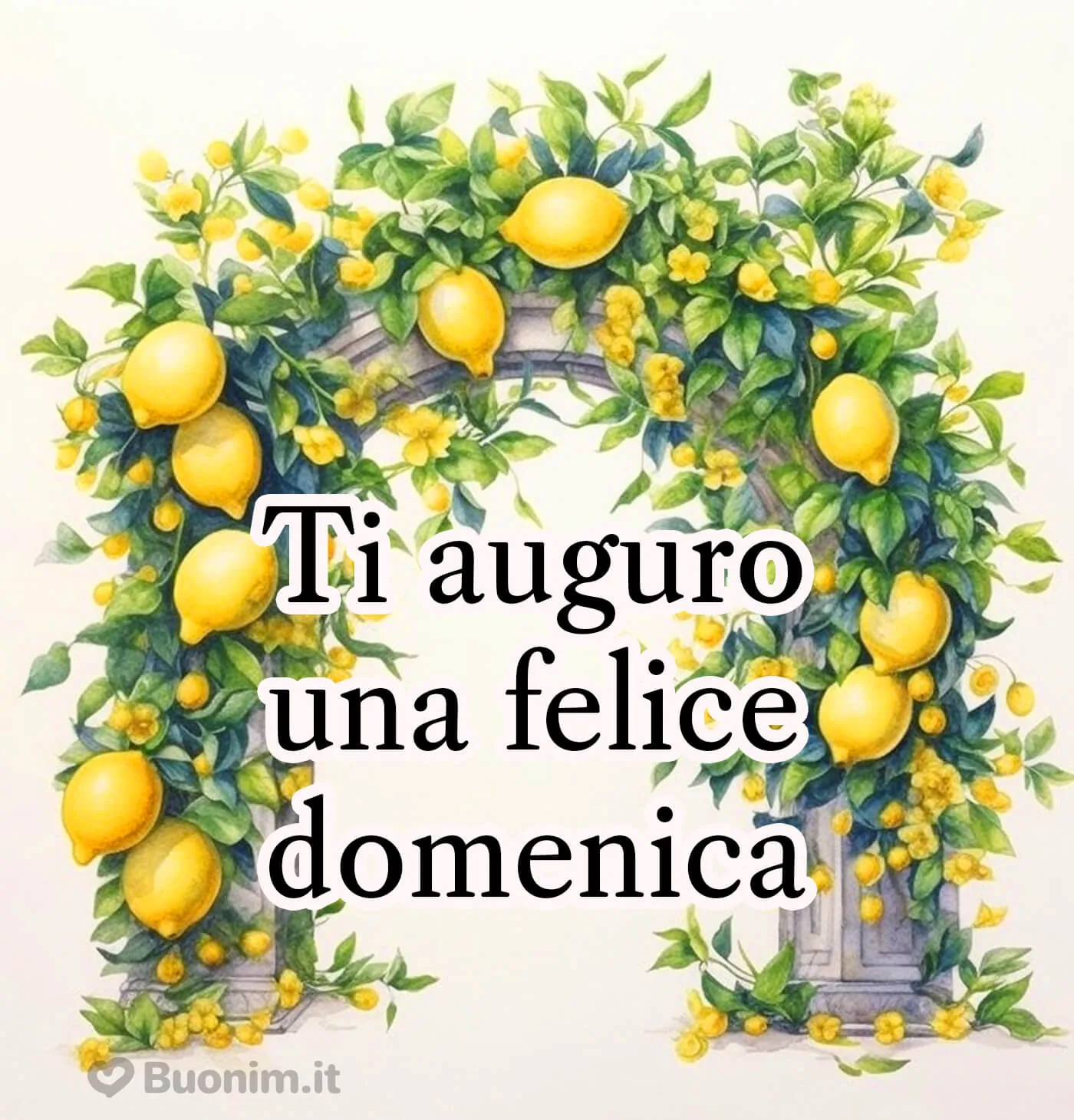 Invia gratis per WhatsApp le immagini spiritose del buongiorno della domenica e porta allegria ai tuoi amici