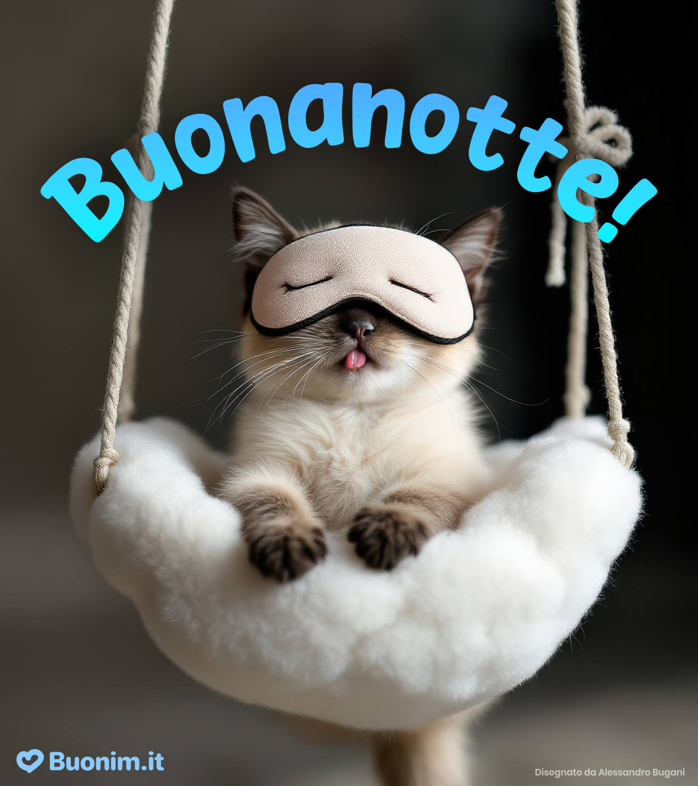 Invia un’immagine spiritosa di buonanotte con gatti divertenti per finire la giornata col sorriso Invia una bella immagine di buonanotte con gatto a chi ami, per finire la giornata con tenerezza