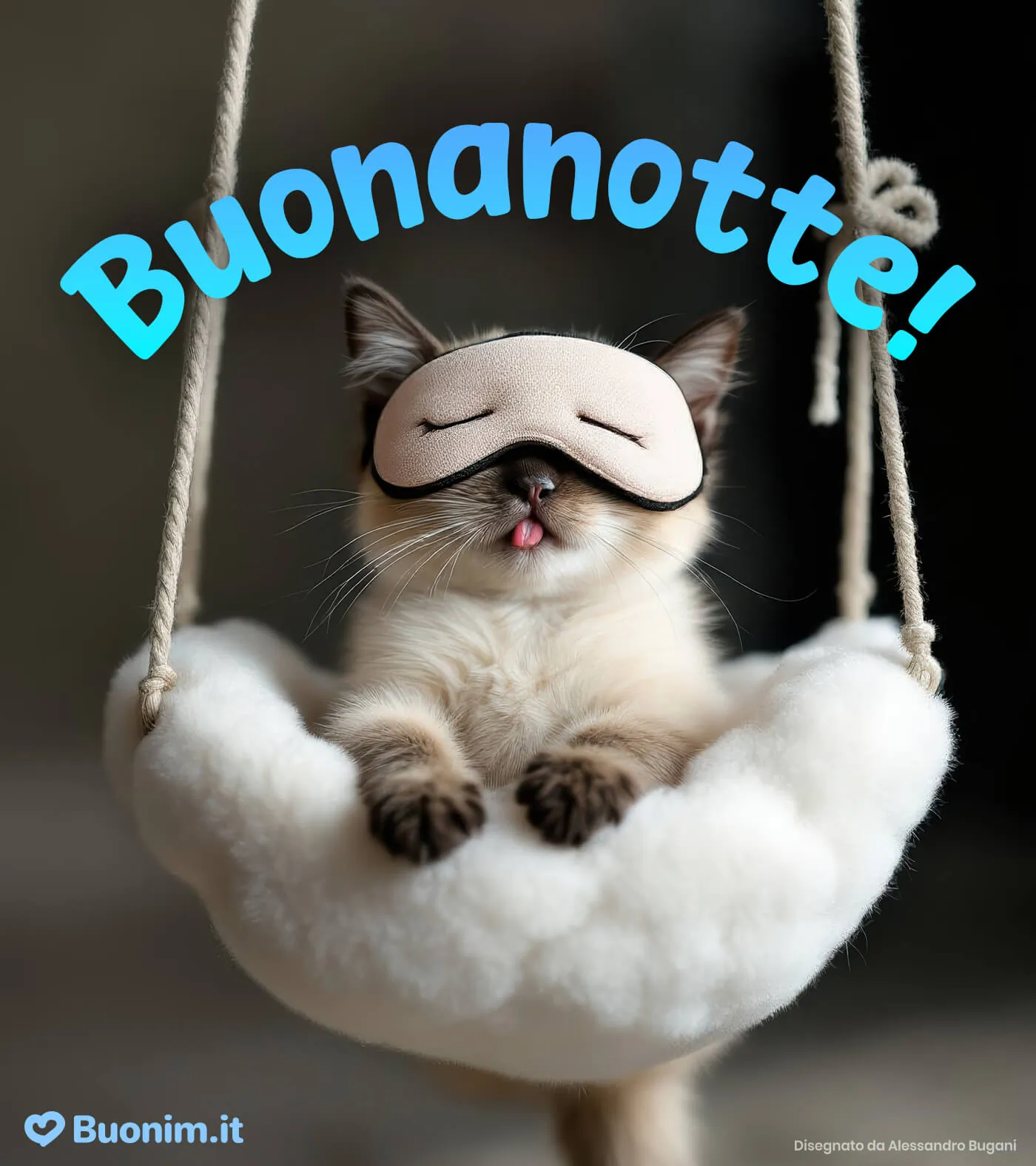 Invia una bella immagine di buonanotte con gatto a chi ami, per finire la giornata con tenerezza