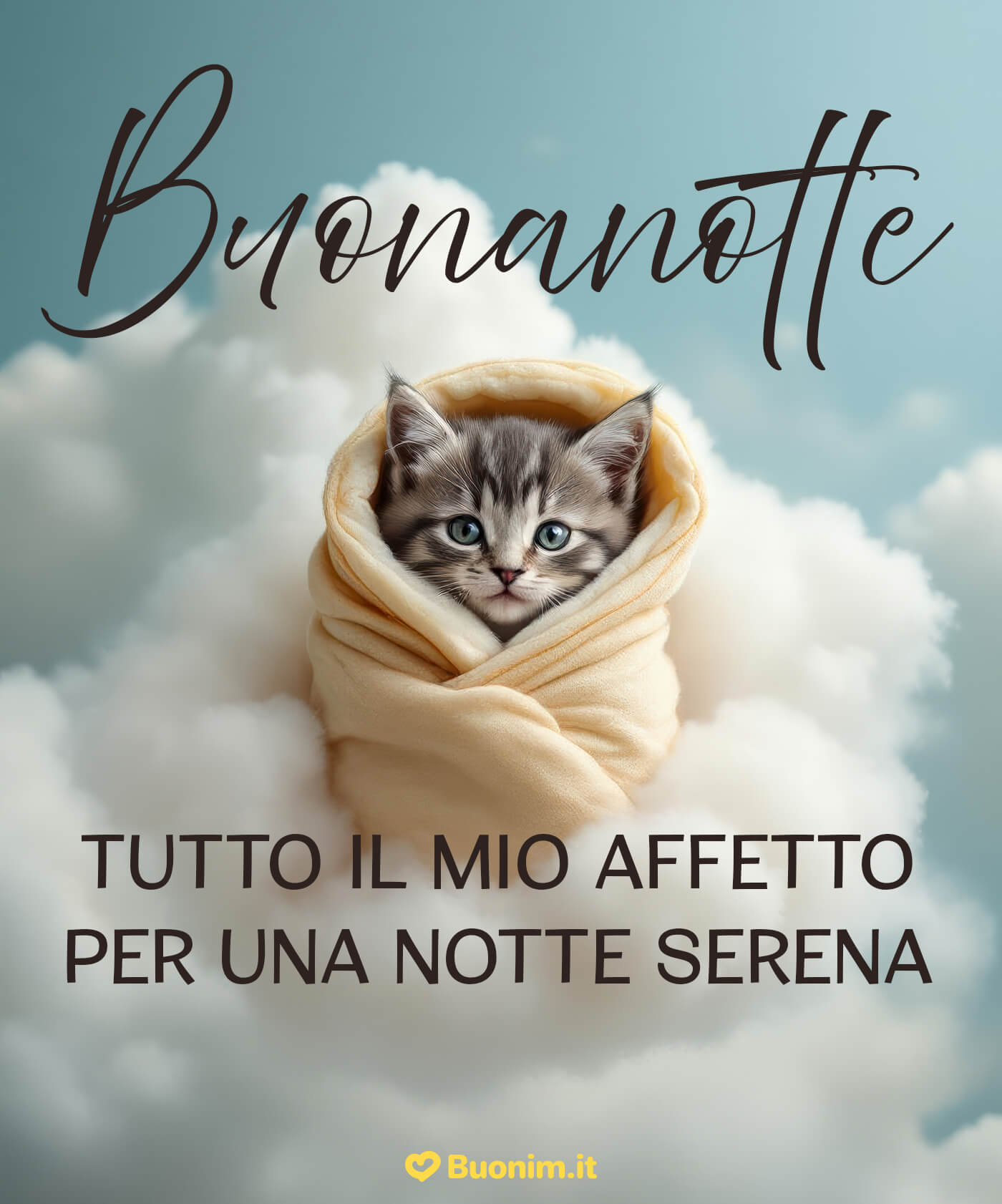 Un tenero gattino della buonanotte per augurare sogni sereni Invia un’immagine spiritosa di buonanotte con gatti divertenti per strappare un sorriso