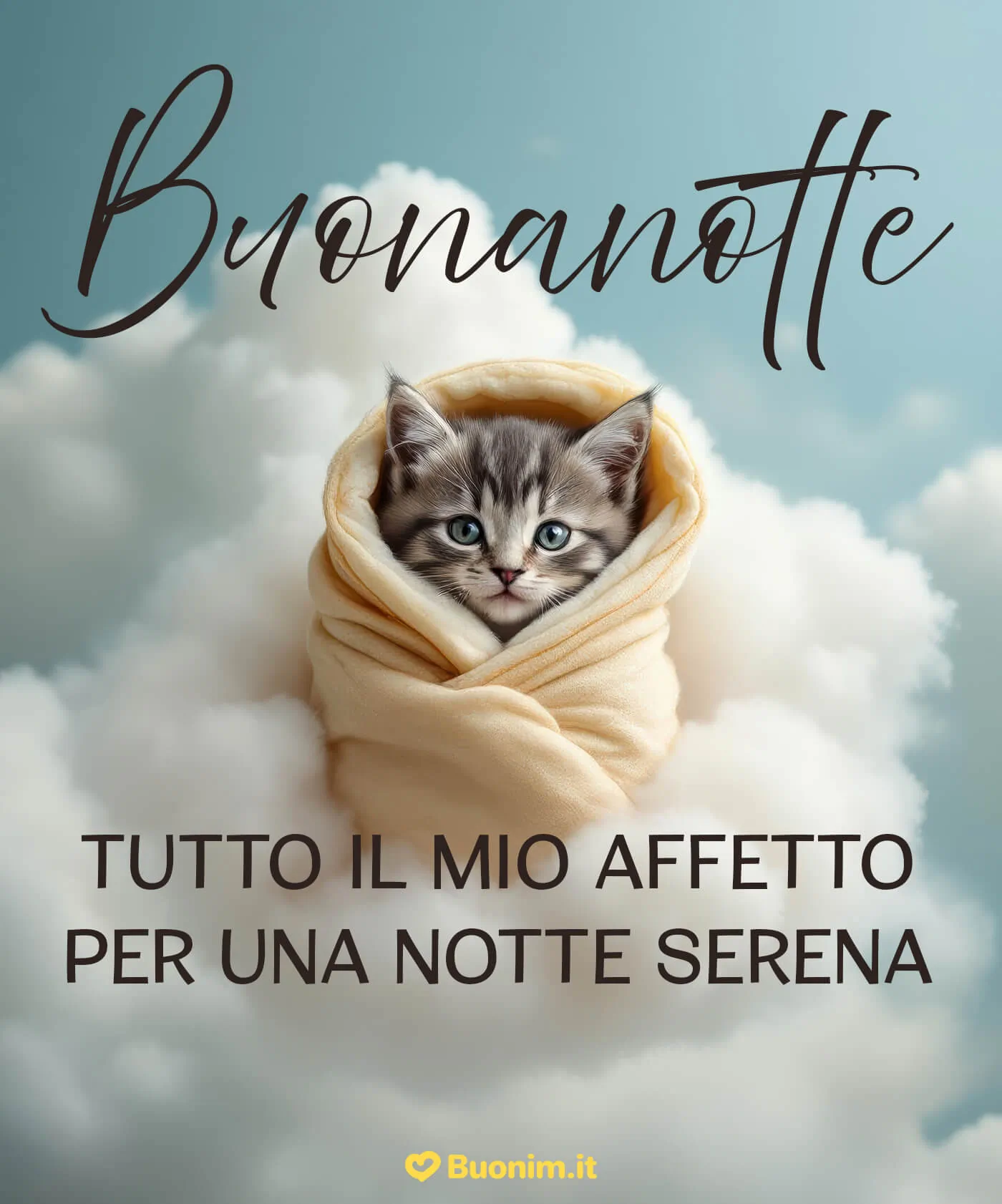 Invia un’immagine spiritosa di buonanotte con gatti divertenti per strappare un sorriso