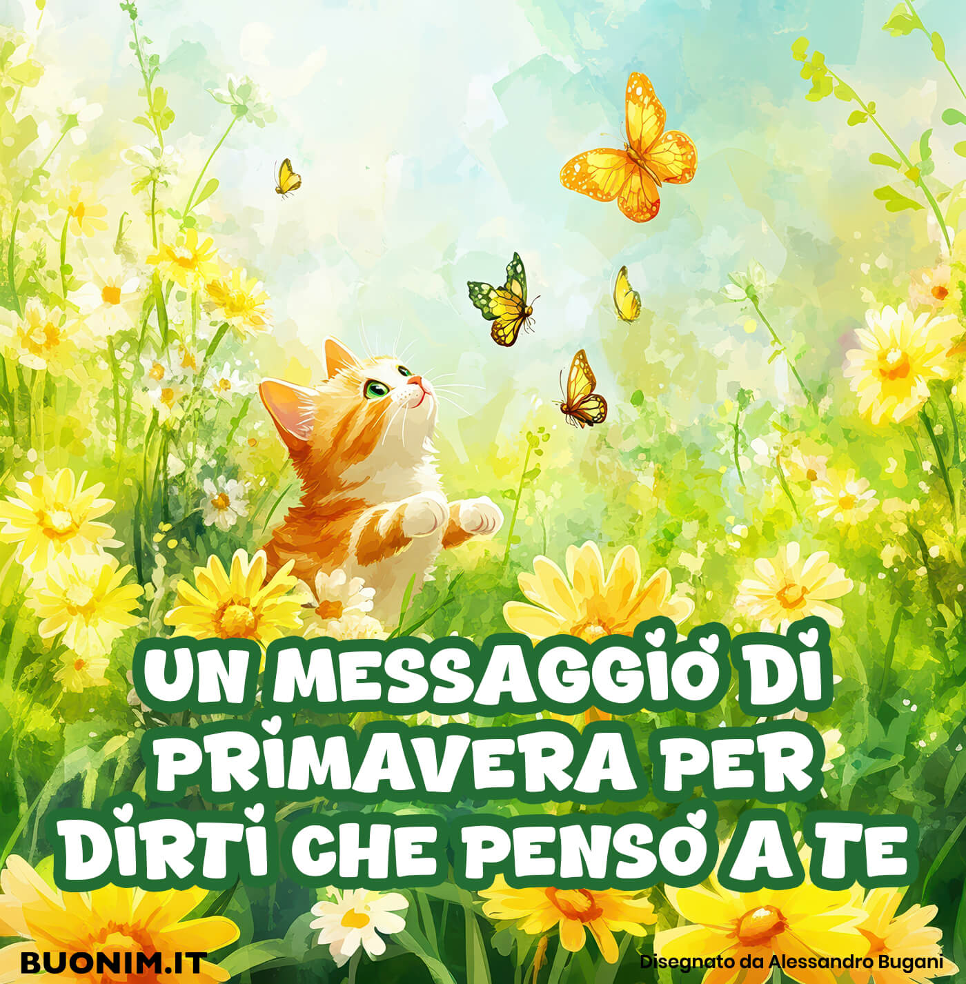 La nostra collezione di immagini con fiori di primavera ti farà sognare la bella stagione La nostra collezione di immagini con fiori di primavera ti farà sognare la bella stagione