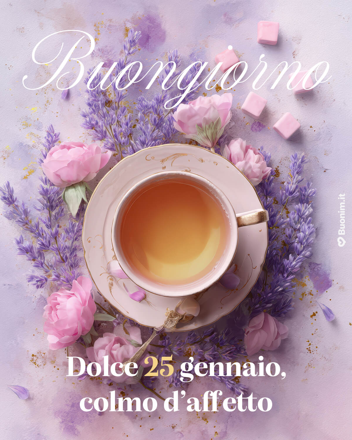 Lavanda e tè per un dolcissimo 25 gennaio Respira il profumo di lavanda, sorseggia con calma e lascia andare i pensieri. Per il 25 gennaio ti auguro dolcezza, coccole e serenità da condividere con chi ami.