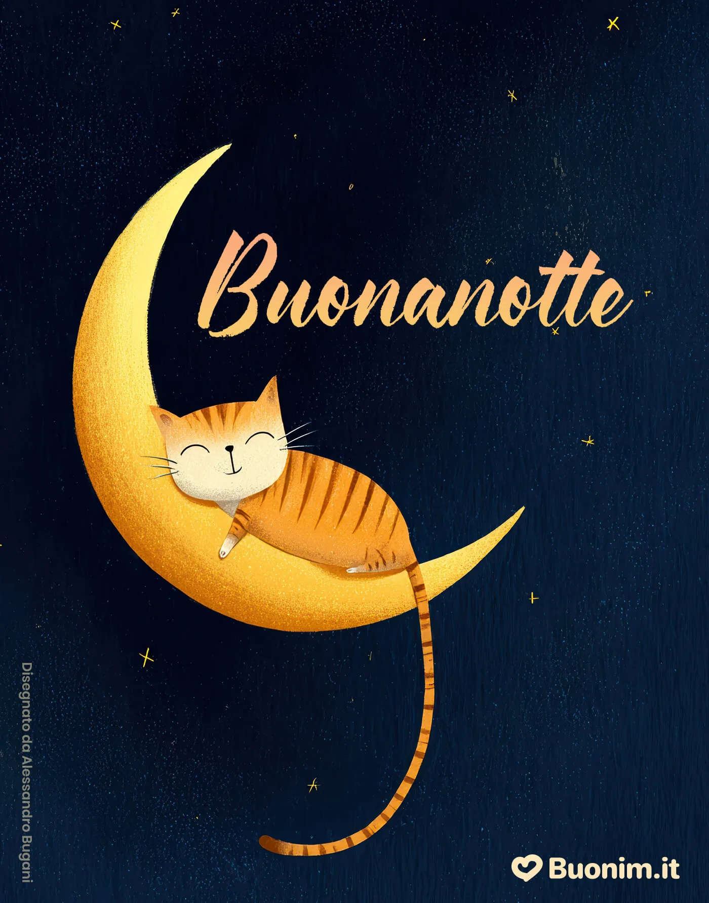 Notte stellata
