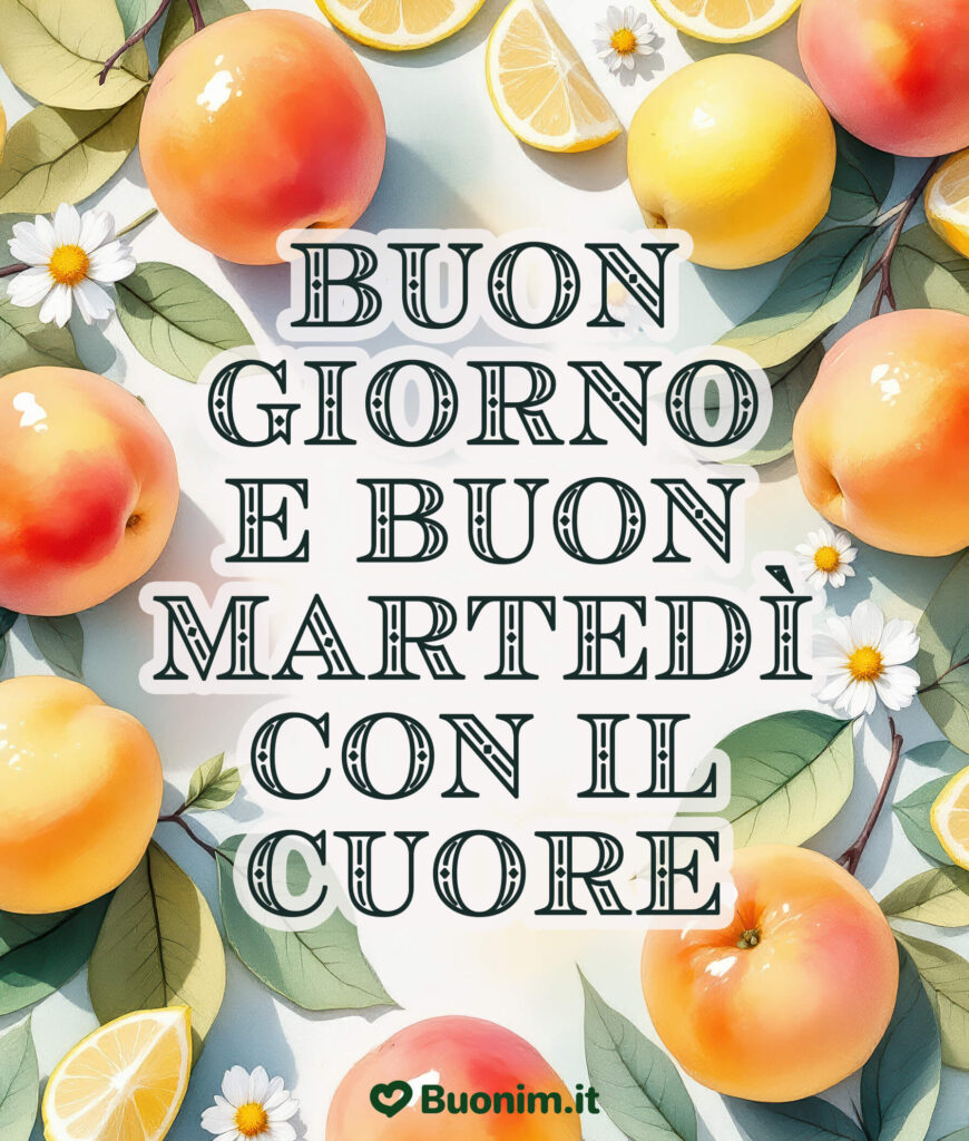 Nuovissime immagini gratis di buon martedì per rendere magico ogni risveglio