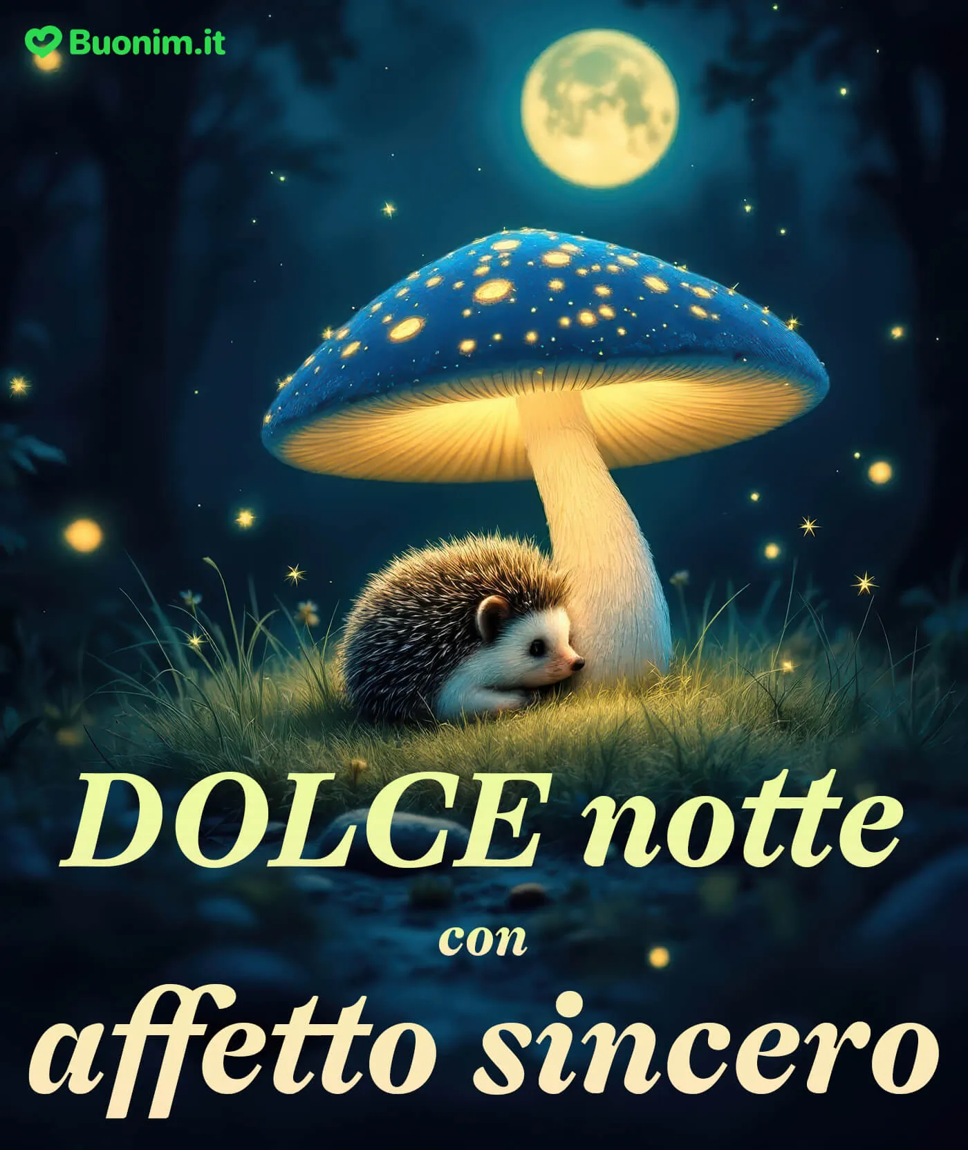 Ogni sera regala una dolce notte con immagini di qualità e pensieri gentili