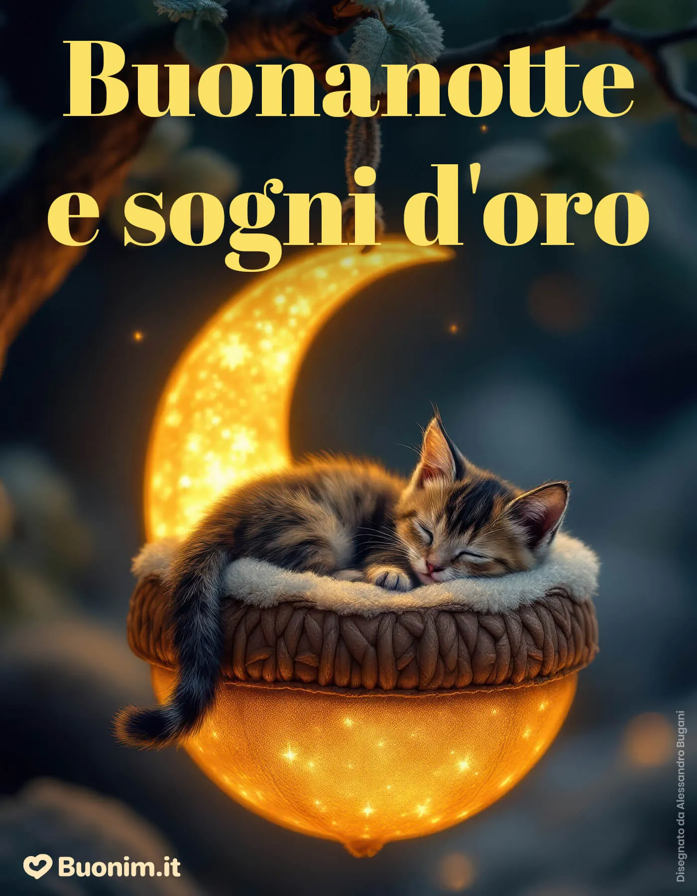 Raccogli immagini di buonanotte con gatti divertenti per ogni sera speciale