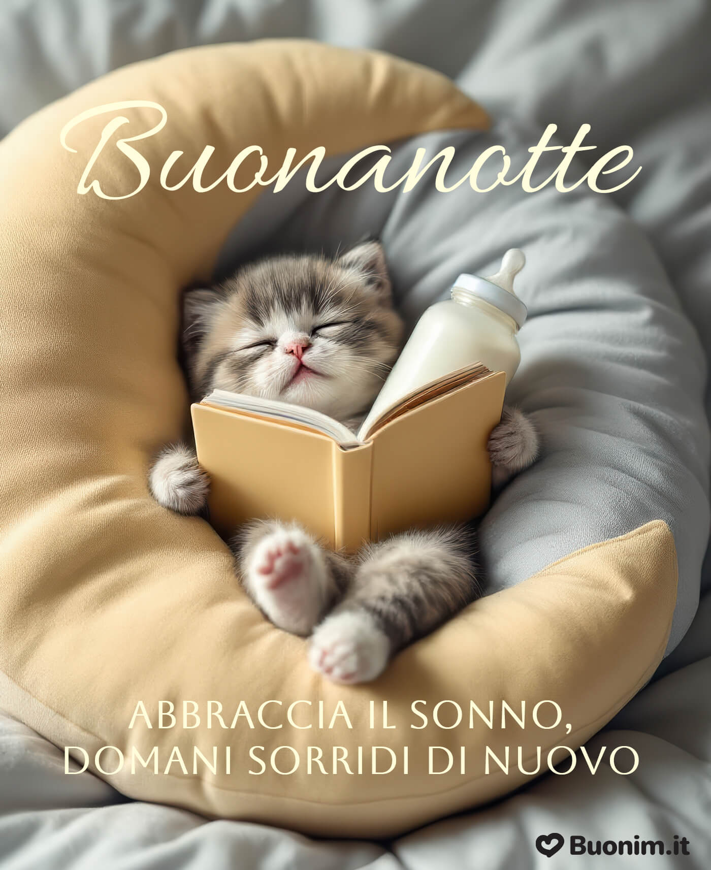 I gatti che danno la buonanotte sono un abbraccio silenzioso Scarica le immagini di buonanotte con gatti buffi per ridere prima di chiudere gli occhi
