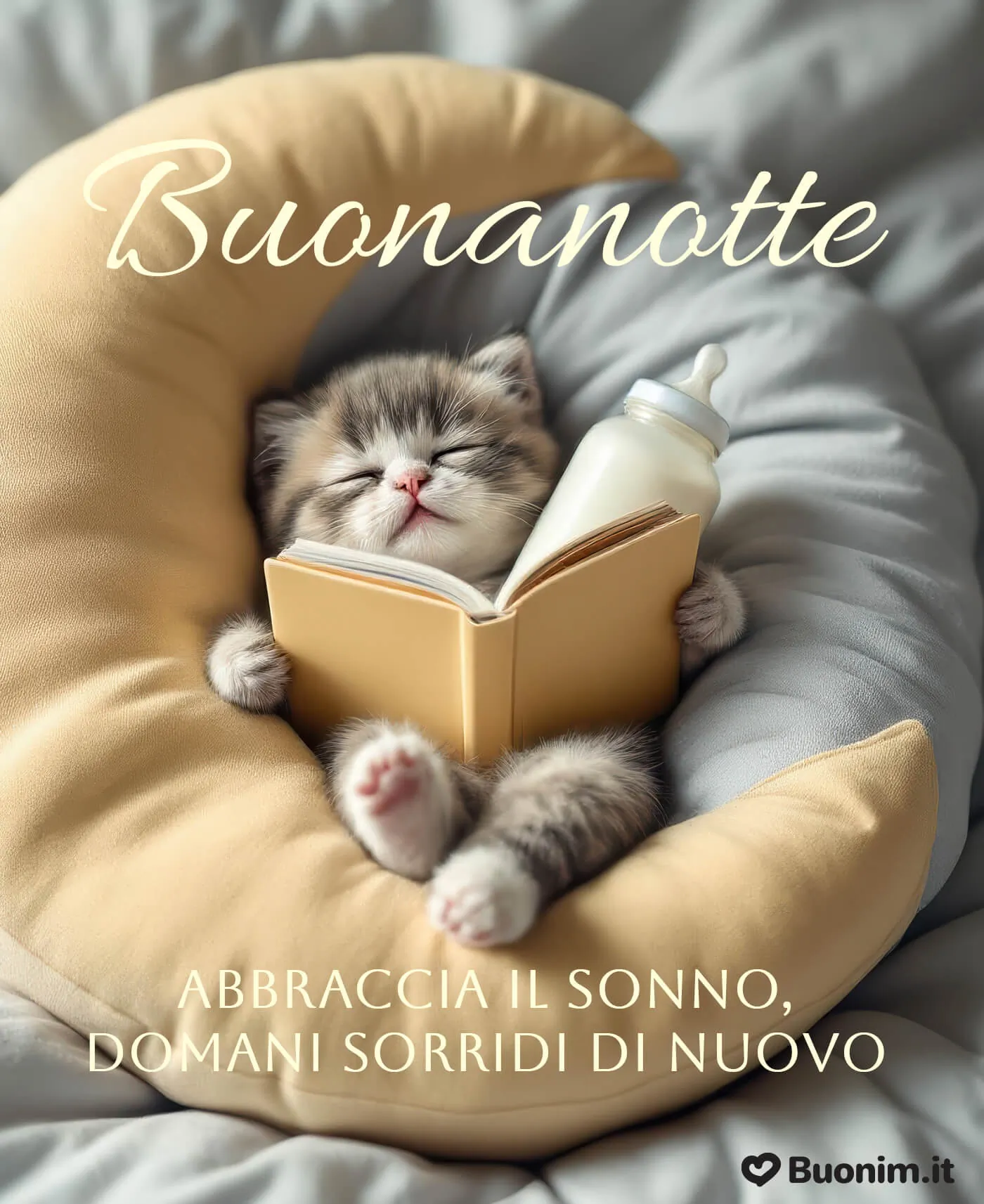 Scarica le immagini di buonanotte con gatti buffi per ridere prima di chiudere gli occhi