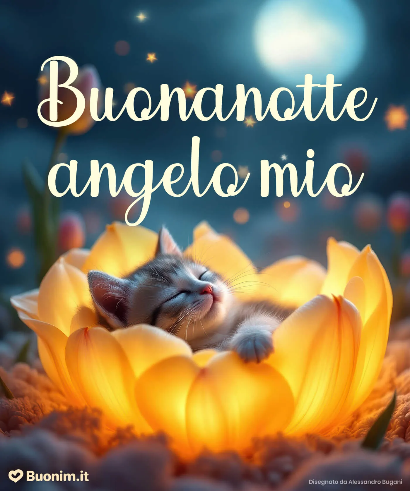 Scegli una buonanotte con i gatti simpatici e riempi la sera di dolcezza