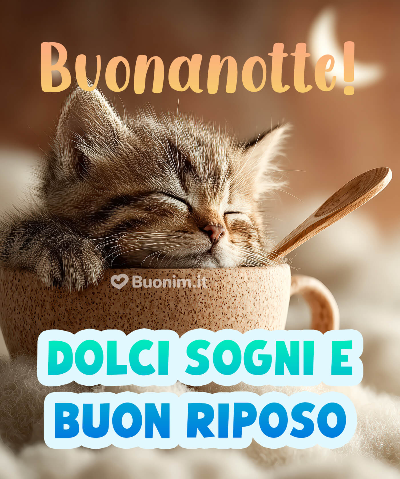 Un gattino dolce per una buonanotte tenera Scopri le immagini di buonanotte con gatti per regalare un sorriso prima di dormire