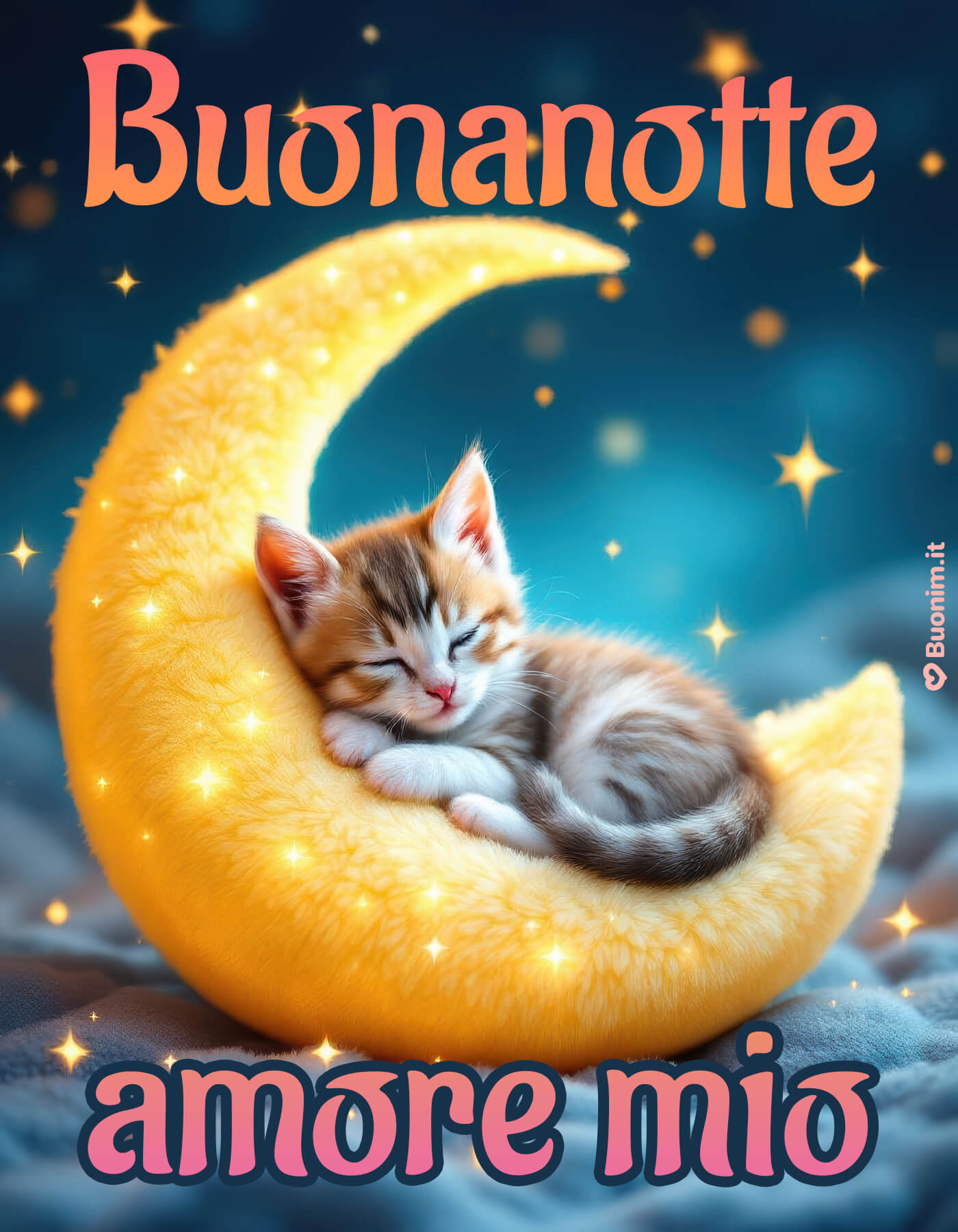 Buonanotte con gatti e la luna per sogni pieni di magia Sfoglia le foto con gatti per dire buonanotte con un tocco di tenerezza