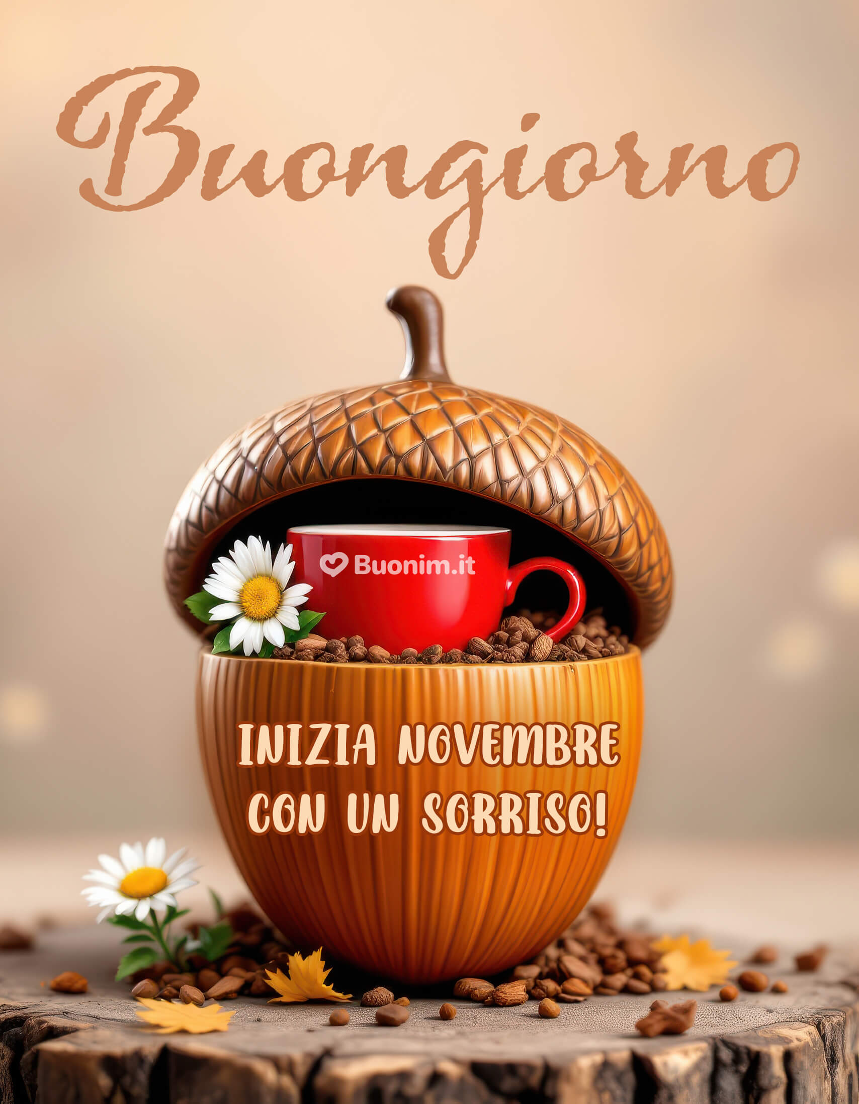 Un buongiorno che sboccia da una ghianda felice Si parte col sorriso e una tazzina rossa tra margherite e chicchi profumati. Che questo novembre porti serenità, piccoli colpi di fortuna e tanta dolcezza. Condividila e spargi affetto fin dal primo caffè.ra margherite e chicchi profumati