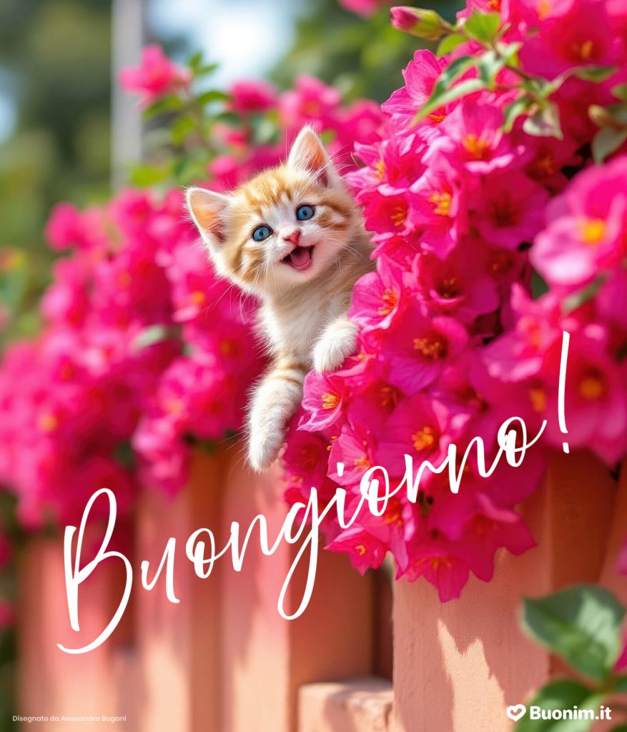 Su Buonim trovi immagine di buongiorno con gatti e buon sabato per un weekend dolce e sereno