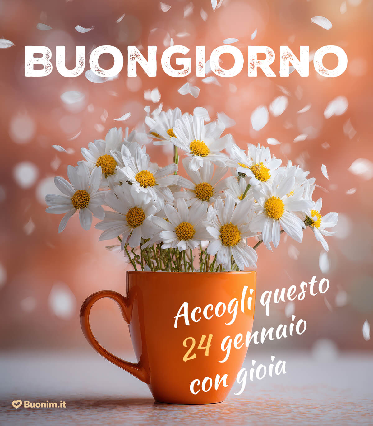 Buongiorno 24 Gennaio Con Immagini Di Buongiorno Per Dare Slancio Alla 