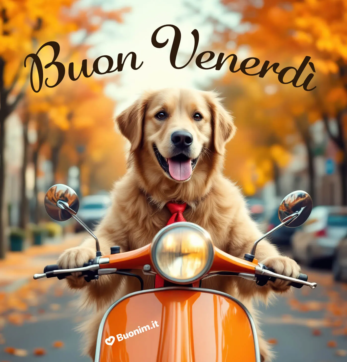 Un caldo buongiorno con affetto e un abbraccione per questo venerdì autunnale