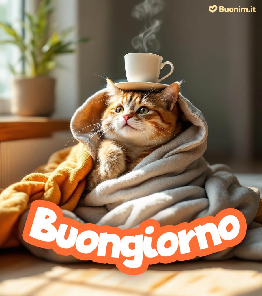 Immagini Di Buongiorno Nuove E Speciali Originali E Divertenti Per 