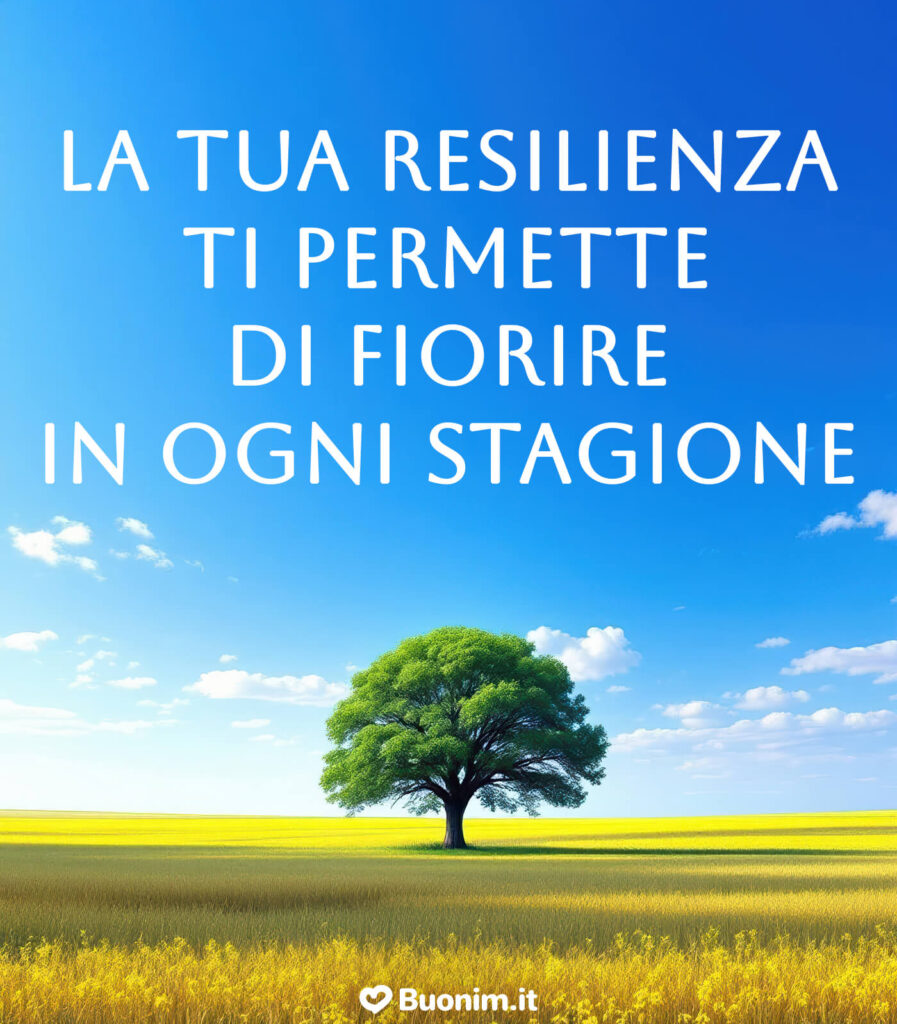 Un’immagine con frase motivazionale che parla al cuore