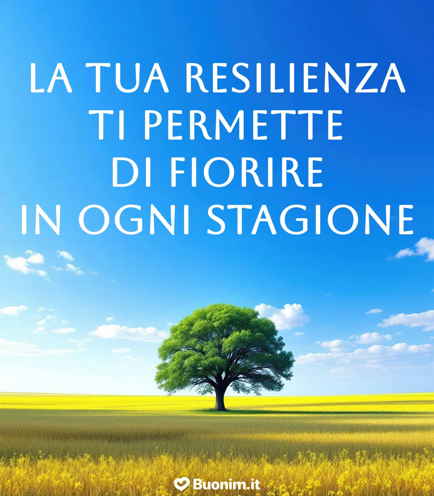 Un’immagine con frase motivazionale che parla al cuore