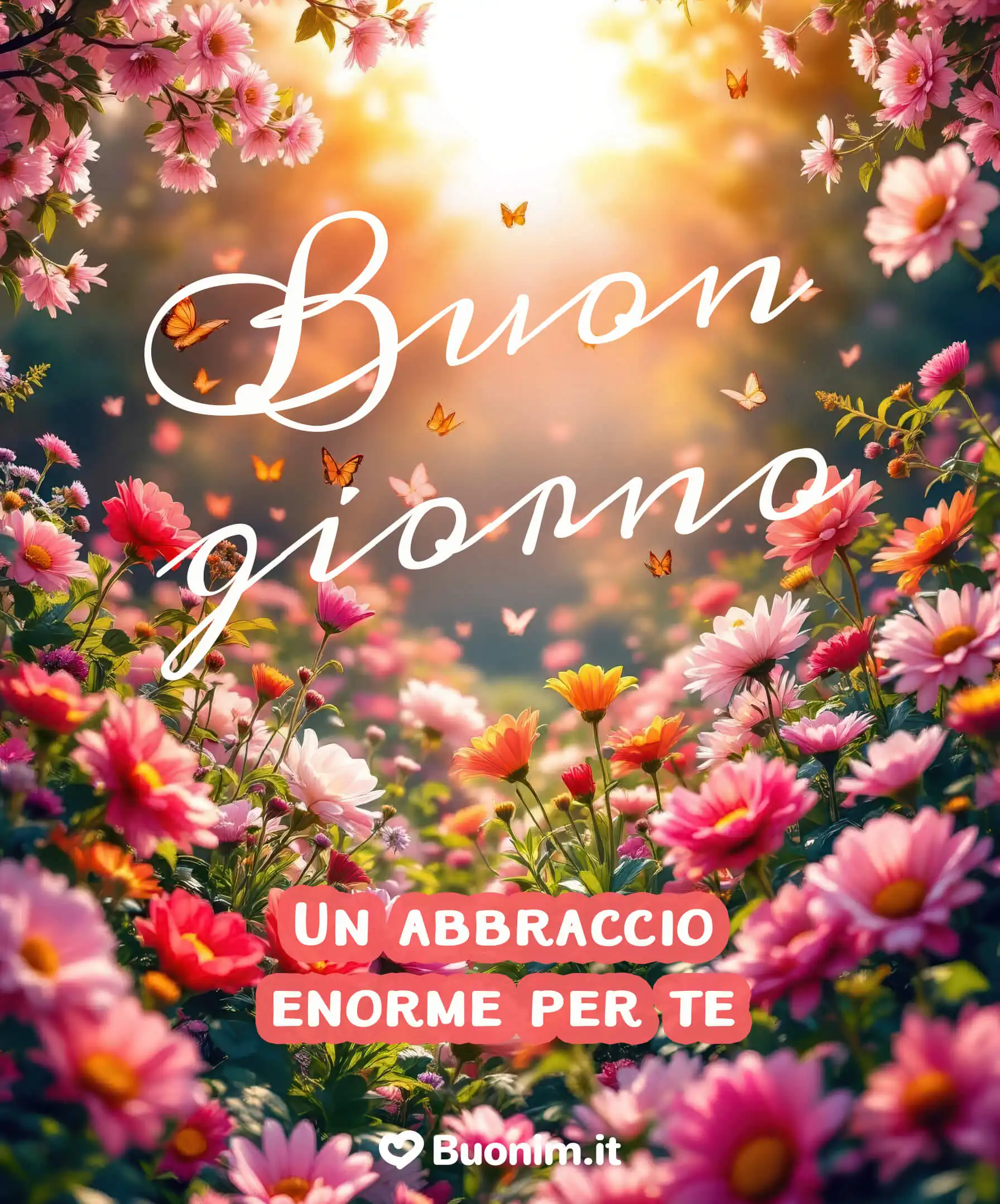 Immagine di buongiorno con fiori e farfalle piene di luce Un’immagine di buongiorno con le farfalle e i fiori di campo per colorare la tua anima di dolcezza