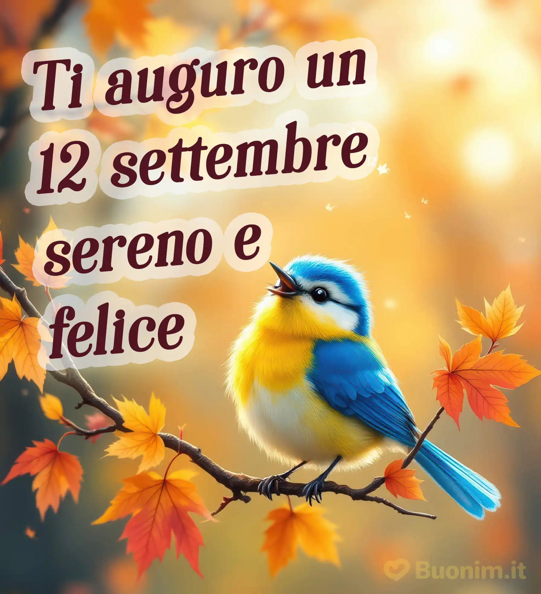 Un’immagine nuovissima di buongiorno per illuminare la tua giornata